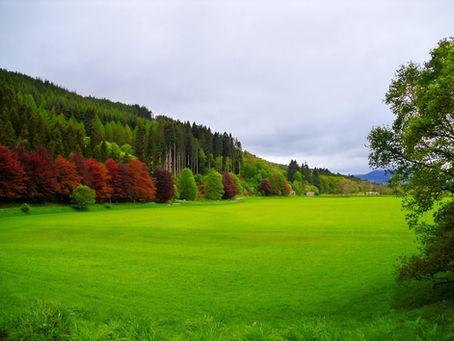 Why Land Banking Remains One of the Oldest Wealth-Building Strategies