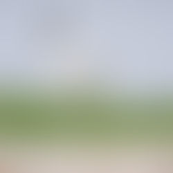 2018 Jaarverslag NLGO-werkgroep Vogels