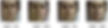 image11.jpeg