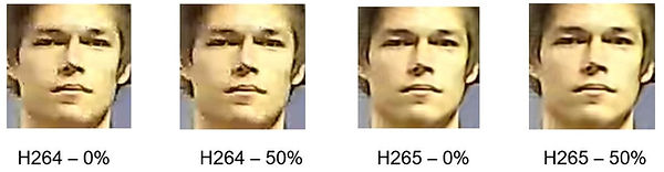 image12.jpeg
