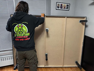 Professional Bed Bug Removal - Fast and Effective Treatment