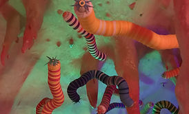 Meow Wolf (9)_NP.jpg