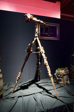 D23 Expo Pirates Life for Me Exhibit (15)_800