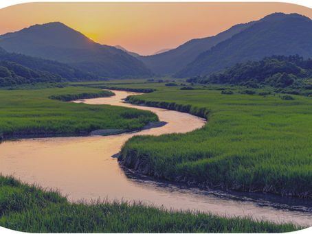 Warum Grenzen wichtig sind – und wie sie dein Leben schützen