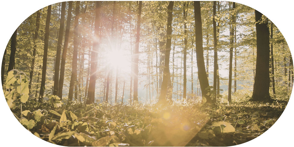 Ein Atemzug zurück zu dir