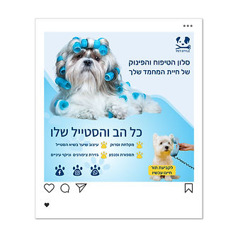 כלב-14.jpg