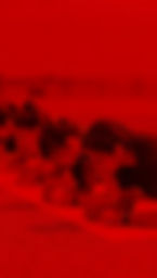0334_edited_edited_edited.jpg