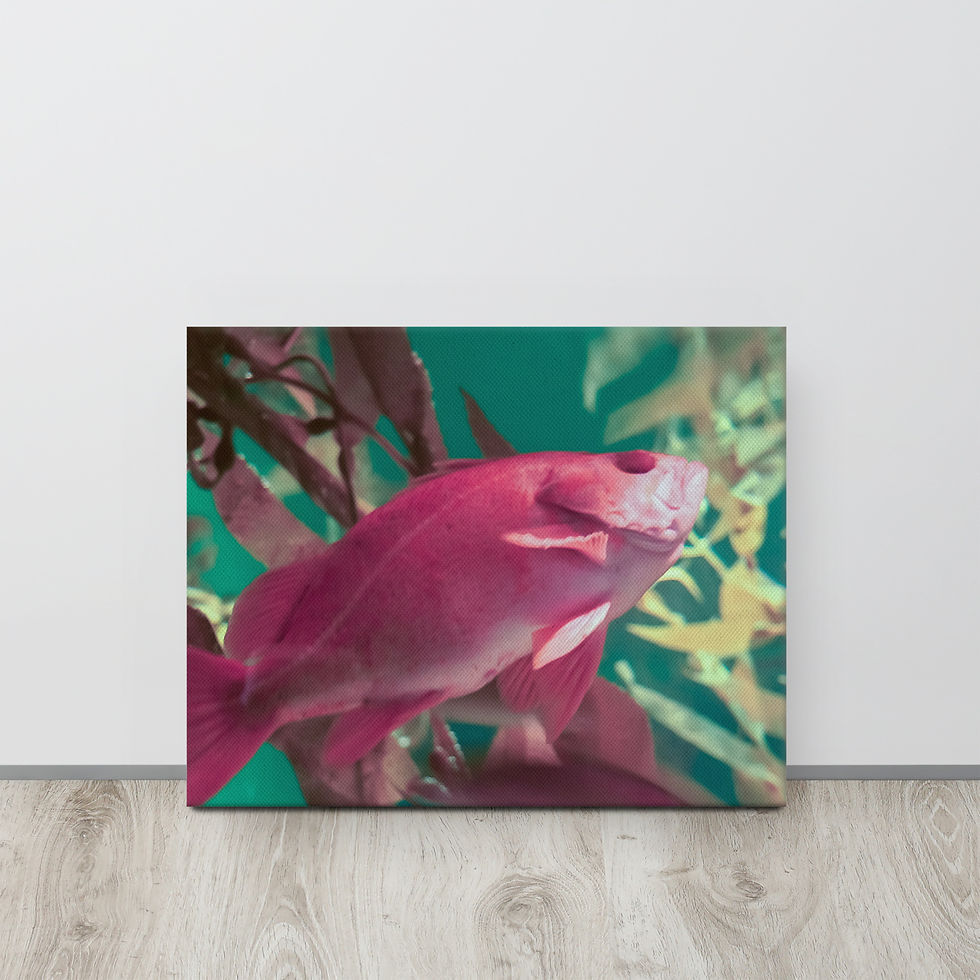 Thumbnail: Thin Pink Fish Canvas Print by Zaedons