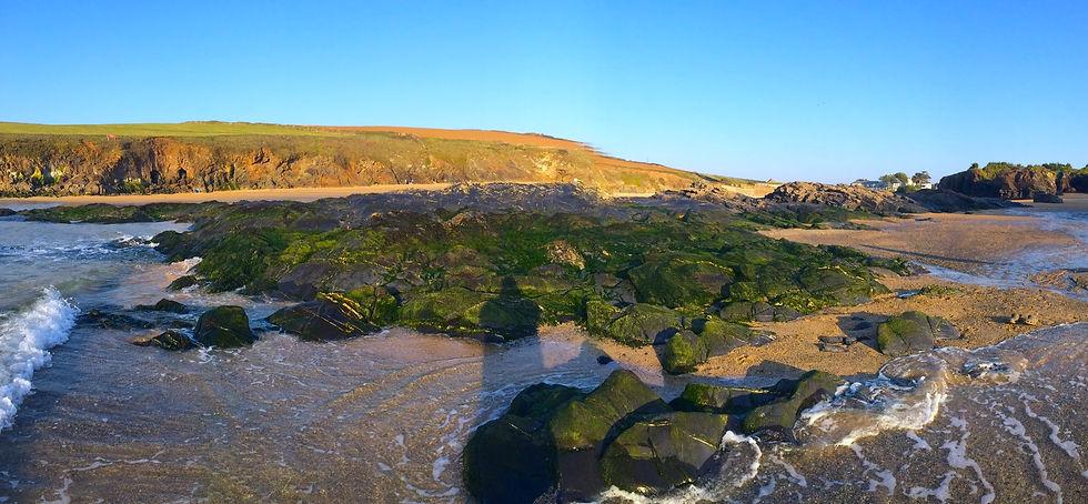 Shell Beach
