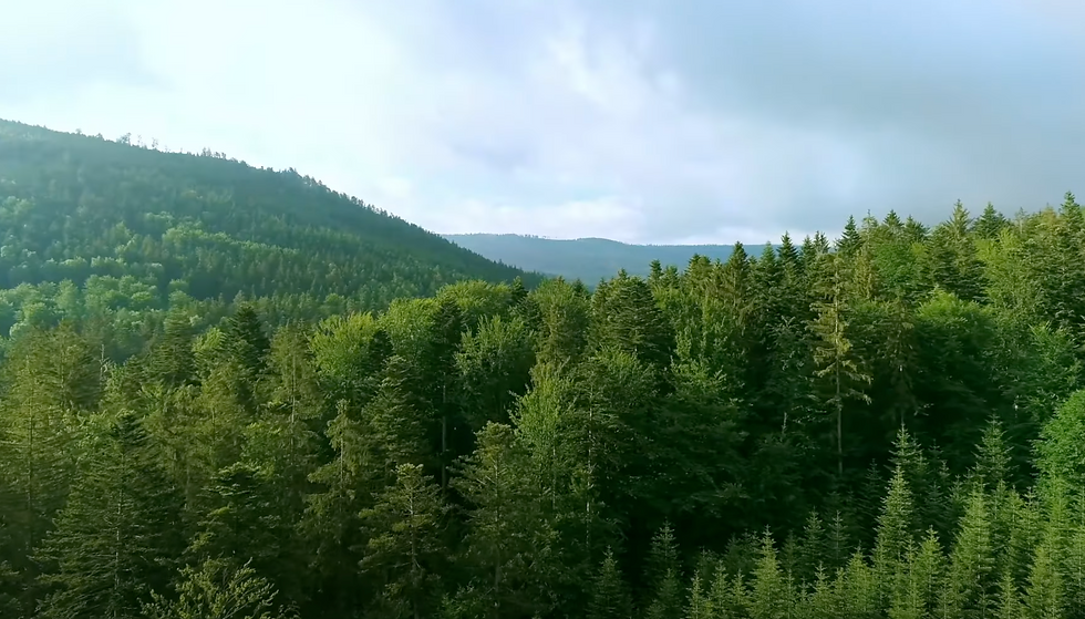 Screenshot 2025-06-01 at 01.23.15.png