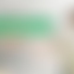 Pillar 2: BICYCLE RENTAL IN THE EEA.