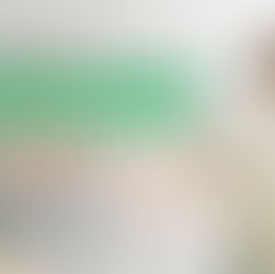 Pillar 2: BICYCLE RENTAL IN THE EEA.