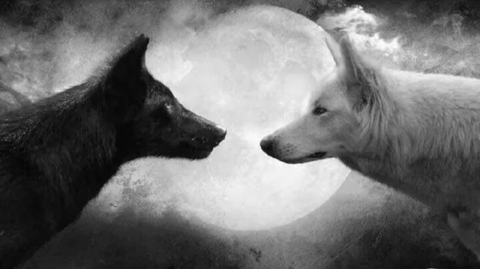The Wolf Within