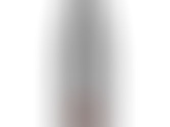 Neue Produkte im Shop