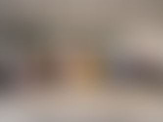 The project «VIEW