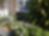Front Garden of Flint Cottage.jpg