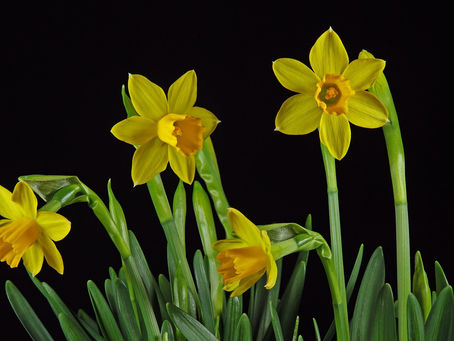 A list of things to do in March!