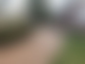 Resin driveways are the perfect solution