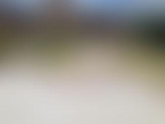 Resin pathways can transform your home