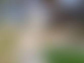 Resin Patio areas and Resin Pathways