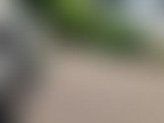 Resin Bound garden areas