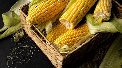 high-angle-fresh-corn-composition.jpg