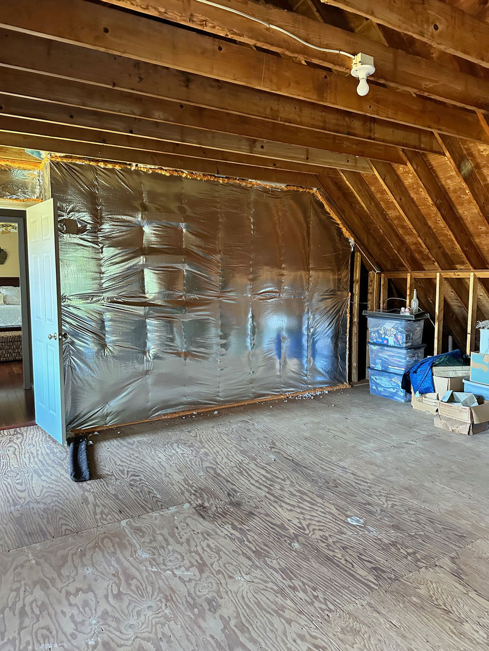 Remodel-Max-Forest-Hill-MD-Attic-Remodel-Before-019.jpg