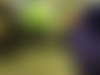 残すところ 1週間