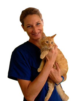 Dr Dorothée Allouard