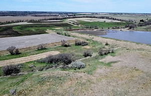 dji_fly_20240417_121048_0_1713373848525_photo_low_quality~2 2.JPG