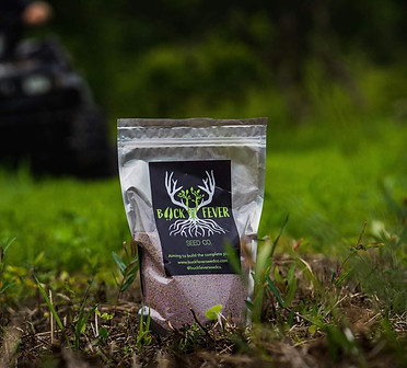 clover seed