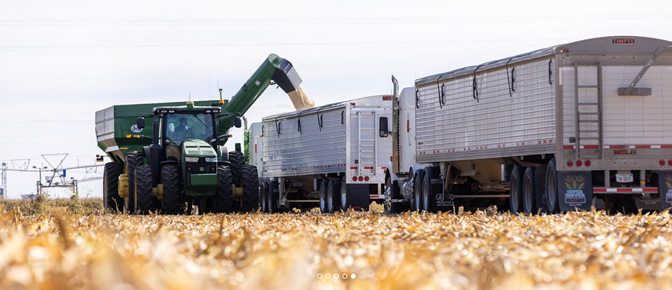 Screenshot 2024-07-18 at 10.43.46 AM.png