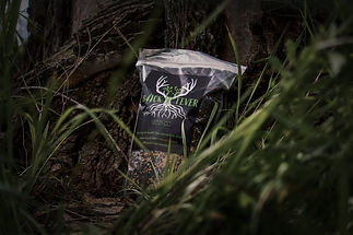 buck fever seed