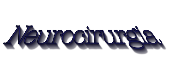 neurocir2_edited_edited.png