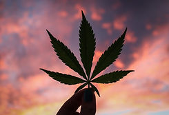 pot.jpeg