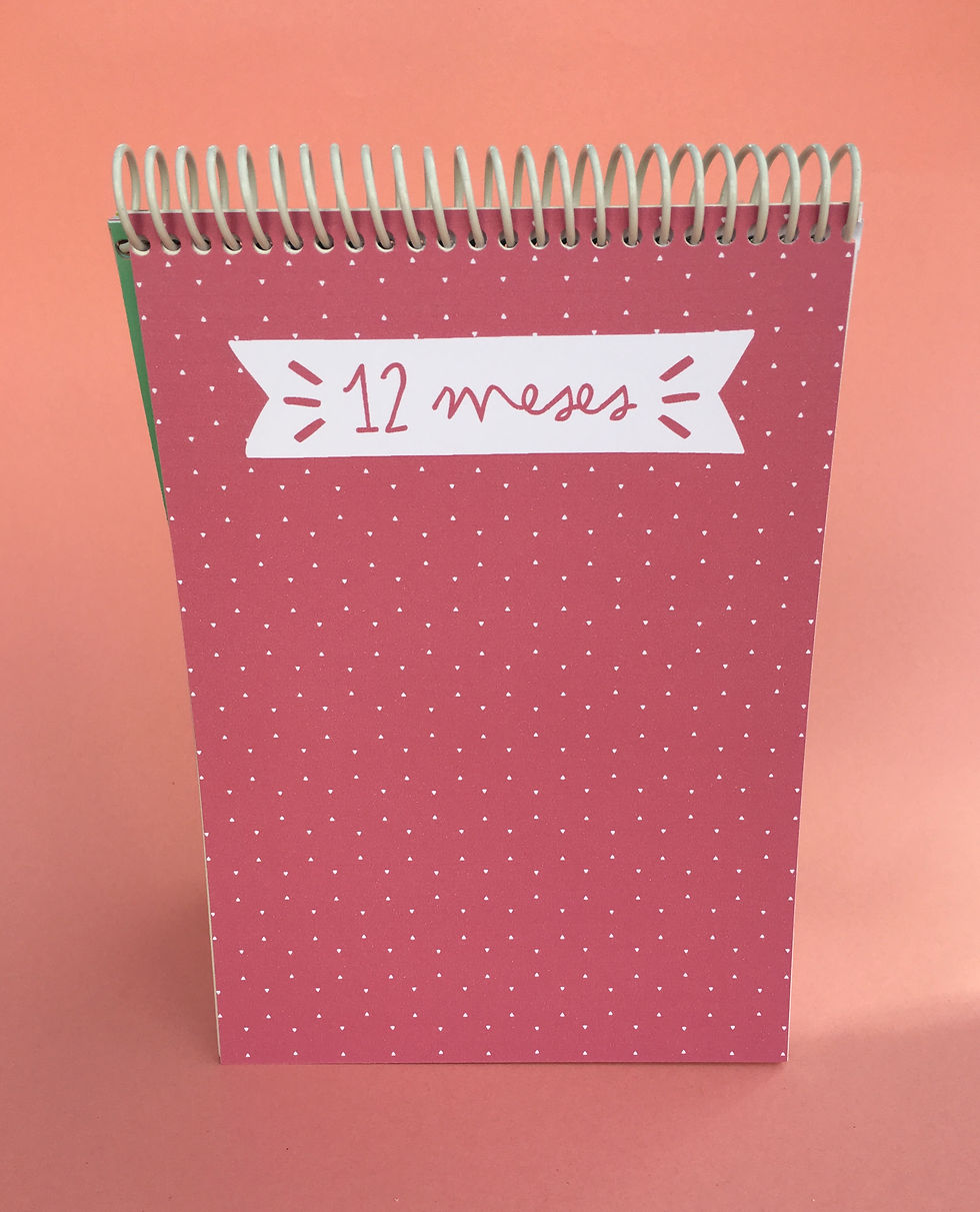 Miniatura: Mini álbum Mis primeros 12 meses