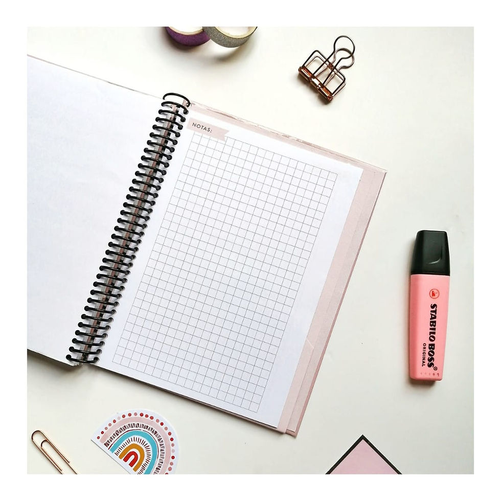 Miniatura: Planner diario rosado