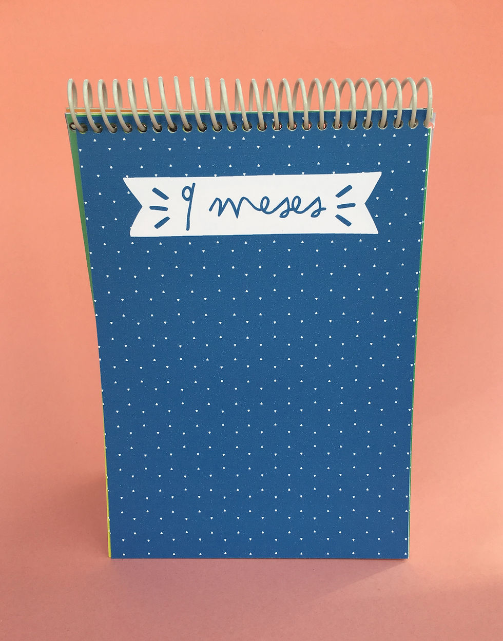 Miniatura: Mini álbum Mis primeros 12 meses
