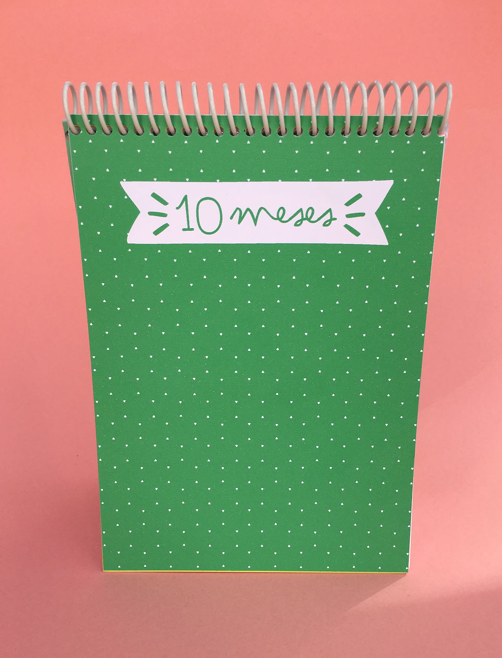 Miniatura: Mini álbum Mis primeros 12 meses