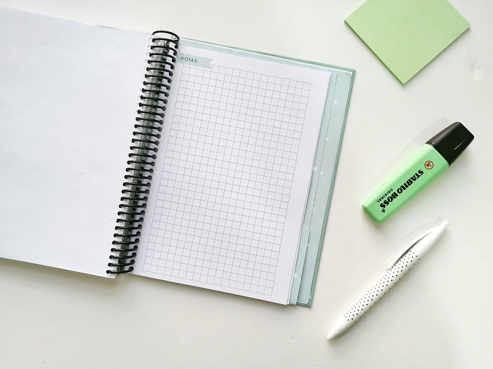 Miniatura: Planner diario menta