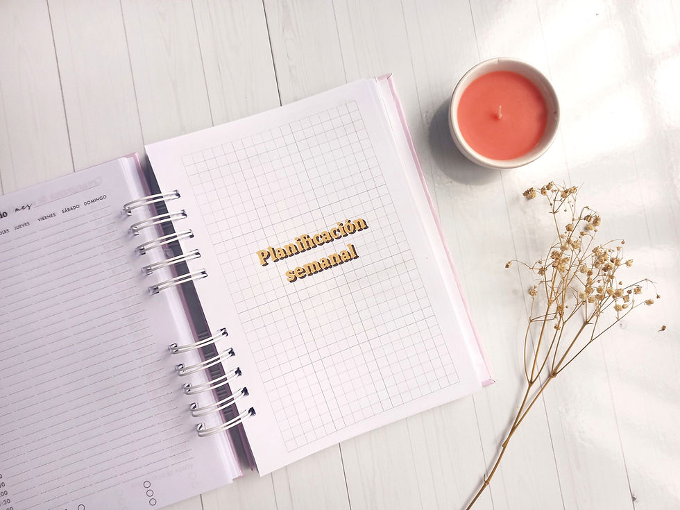 Miniatura: Planner de estudio 