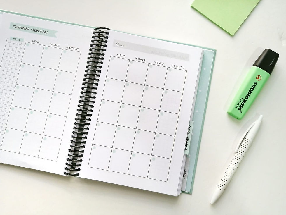 Miniatura: Planner diario menta
