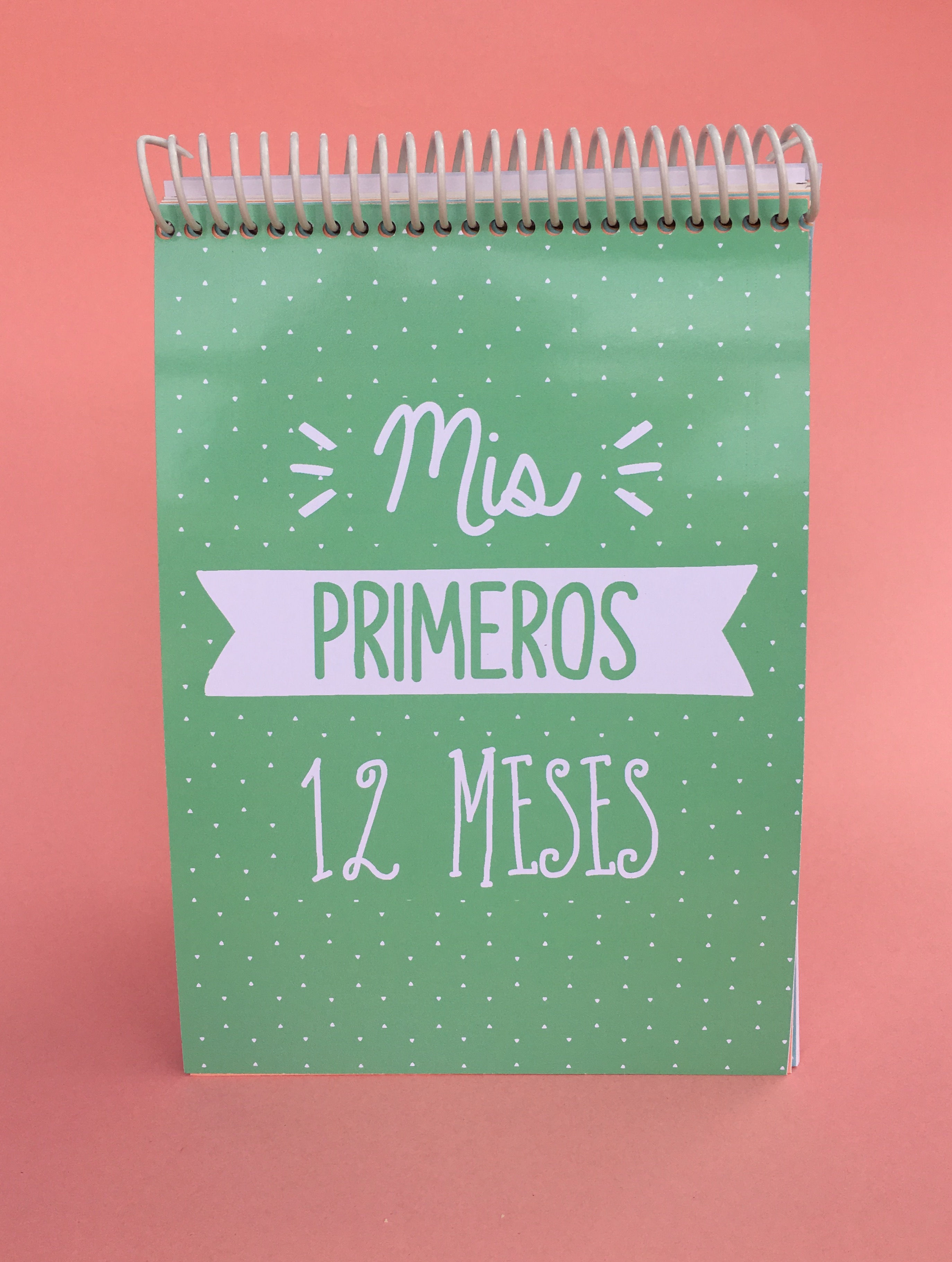 Mini álbum Mis primeros 12 meses