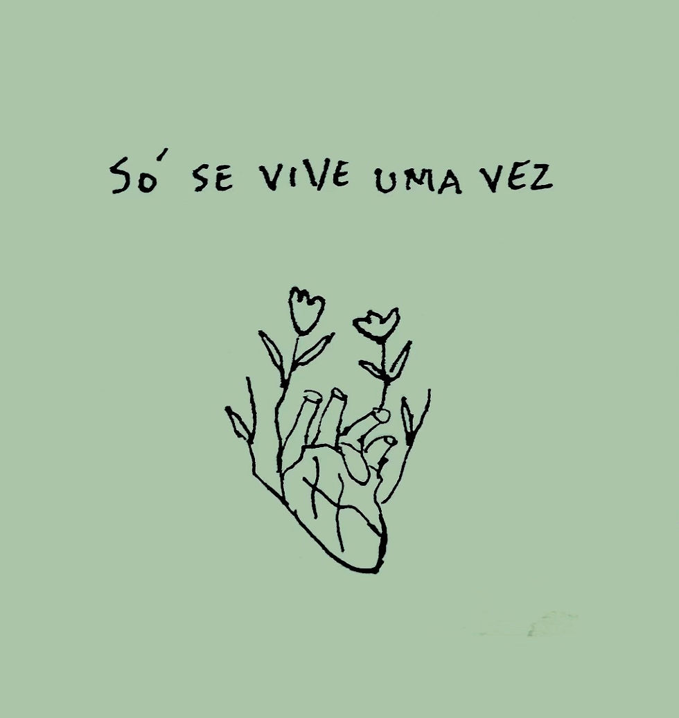 Só se Vive uma Vez