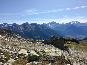 77351DF3-F4B3-4661-BBFE-C66E03A11AE3_1_201_a.jpeg