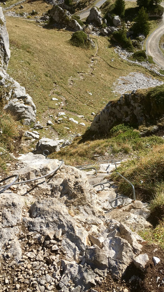 09C32867-C356-4CA9-A712-C9A0943F9F08_1_201_a.jpeg