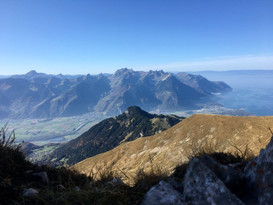 D6D573E9-6E2B-49D8-BE7D-99082E8D7608_1_201_a.jpeg