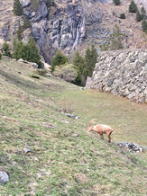 C79013A0-6DB0-43EA-9BDB-E0B76B872968_1_201_a.jpeg