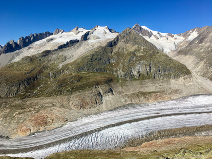 6D053266-69F1-4F2F-BFA5-21E3E4C9564F_1_201_a.jpeg