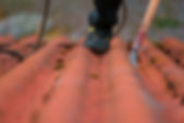 Bild-7.jpg